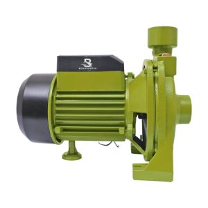 MOTOBOMBA CENTRIFUGA BONHOEFFER ELECTRICA 0,5HP BONP-05HP